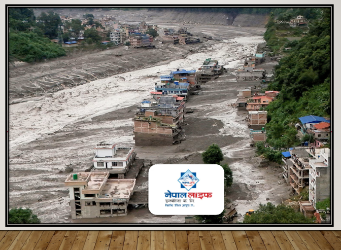 नेपाल लाइफद्धारा रसुवा बाढी प्रभावित क्षेत्रमा सक्रिय रहन शाखा कार्यालयलाई निर्देशन